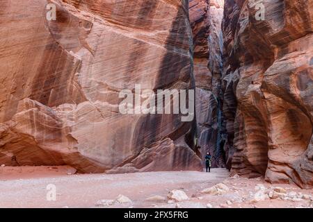 Frau schaut auf den Wire Pass Canyon, Utah, USA Stockfoto