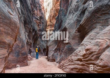 Mann schaut auf den Wire Pass Canyon, Utah, USA Stockfoto