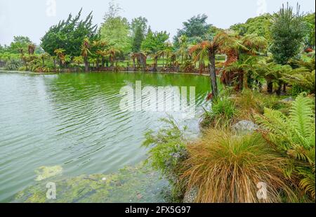 Geothermie-Teich im Kuirau Park in der Region Rotorua in Neuseeland Stockfoto