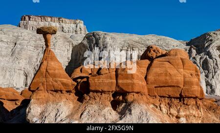 Toadstool Hoodoos, Kanab, Utah, USA Stockfoto