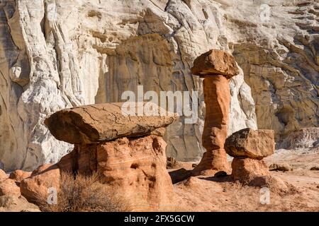 Toadstool Hoodoos, Kanab, Utah, USA Stockfoto