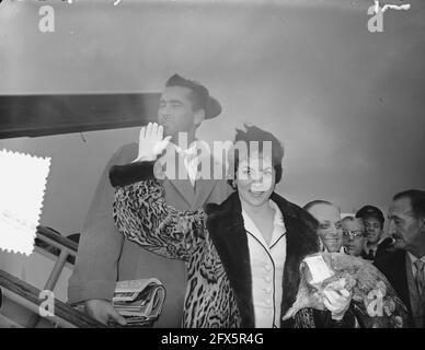 Gina Lolobrigida in Amsterdam, Ankunft, 21. oktober 1955, ANKUNFT, Niederlande, Presseagentur des 20. Jahrhunderts, Foto, Nachrichten zum erinnern, Dokumentarfilm, historische Fotografie 1945-1990, visuelle Geschichten, Menschliche Geschichte des zwanzigsten Jahrhunderts, Momente in der Zeit festzuhalten Stockfoto
