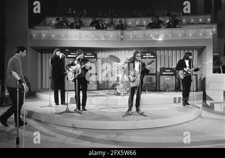 Grand Gala du Disque, Amsterdam. Proben die Katzen bei ihrer Aufführung, 25. Februar 1970, Aufführungen, WIEDERHOLUNGEN, Niederlande, Presseagentur des 20. Jahrhunderts, Foto, Nachrichten zum erinnern, Dokumentarfilm, historische Fotografie 1945-1990, visuelle Geschichten, Menschliche Geschichte des zwanzigsten Jahrhunderts, Momente in der Zeit festzuhalten Stockfoto