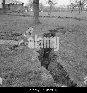 Erdrutsche in der belgischen Gemeinde Zichen-Zussen-bolder, Absenkung, 5. April 1966, Absenkung, Gemeinden, Niederlande, Presseagentur des 20. Jahrhunderts, Foto, Nachrichten zu erinnern, Dokumentarfilm, historische Fotografie 1945-1990, visuelle Geschichten, Menschliche Geschichte des zwanzigsten Jahrhunderts, Momente in der Zeit festzuhalten Stockfoto