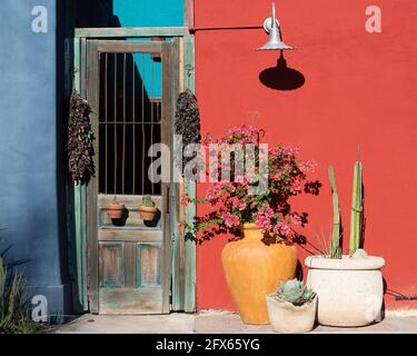 Holztür außen mit Töpfen von Bouganvillea, Kakteen und hängenden Chilis im Barrio Viejo, Tucsons historischem alten Viertel, Arizona Stockfoto