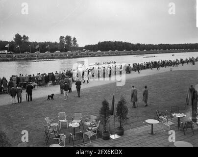 Hollandia Cup Rennen auf der Bosbaan. Publikum am Bosbaan, 19. Juni 1961, Publikum, Ruderer, Niederlande, 20. Jahrhundert Presseagentur Foto, Nachrichten zu erinnern, Dokumentarfilm, historische Fotografie 1945-1990, visuelle Geschichten, Menschliche Geschichte des zwanzigsten Jahrhunderts, Momente in der Zeit festzuhalten Stockfoto