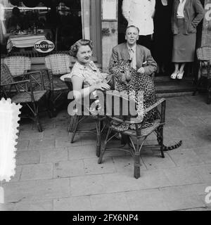 Circus Mikkenie in Turnhout Belgien, 13. Juli 1951, Zirkusse, Niederlande, 20. Jahrhundert Presseagentur Foto, Nachrichten zu erinnern, Dokumentarfilm, historische Fotografie 1945-1990, visuelle Geschichten, Menschliche Geschichte des zwanzigsten Jahrhunderts, Momente in der Zeit festzuhalten Stockfoto