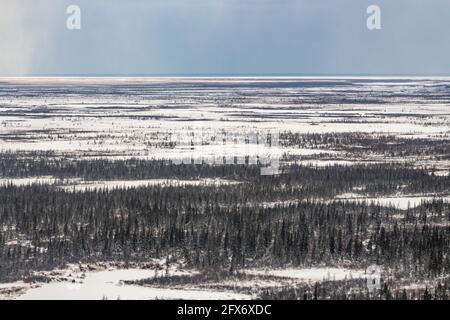 Boreal Waldlandschaft im Norden von Manitoba, außerhalb von Churchill in der nördlichen Tundra, arktisches Land am Ufer der Hudson Bay. Luftaufnahme, Vogelauge. Stockfoto