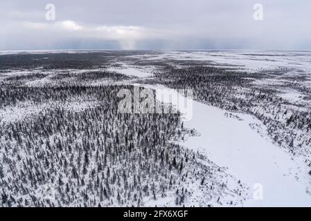 Boreal Waldlandschaft im Norden von Manitoba, außerhalb von Churchill in der nördlichen Tundra, arktisches Land am Ufer der Hudson Bay. Luftaufnahme, Vogelauge. Stockfoto