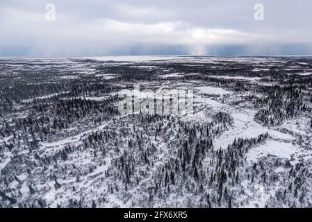 Boreal Waldlandschaft im Norden von Manitoba, außerhalb von Churchill in der nördlichen Tundra, arktisches Land am Ufer der Hudson Bay. Luftaufnahme, Vogelauge. Stockfoto