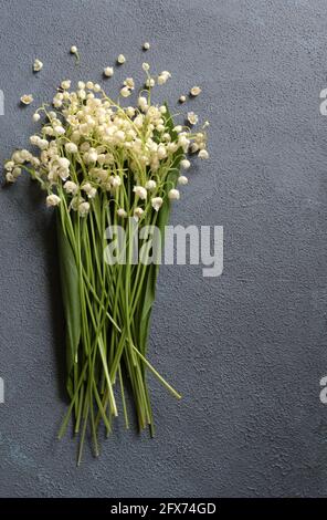 Bouquet von Soor oder Maiglöckchen isoliert auf grauem Hintergrund. Direkt darüber. Speicherplatz kopieren. Stockfoto
