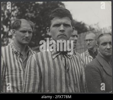 Im Straflager von Vught, wo die Deutschen und ihre Komplizen jahrelang vergeblich versuchten, die Macht des niederländischen Volkes zu brechen, sind jetzt etwa 7000 holländische Kollaborateure und Verräter eingesperrt. Für die Überwachung sind Soldaten der niederländischen Stoottroepen verantwortlich, insbesondere der 300 niederländischen SS-Männer, die den verräterischen deutschen Soldatenanzug anziehen. Unter der Führung des Lagerkommandanten, Major L. Mennes und seiner Mitarbeiter, werden diese Gefangenen unter anderem dazu benutzt, das Gebiet um Vught von Landminen zu räumen. Sie waren mit blau-weiß gestreiften Gefängnisüberkleidern bekleidet, die gleichen Overalls Stockfoto