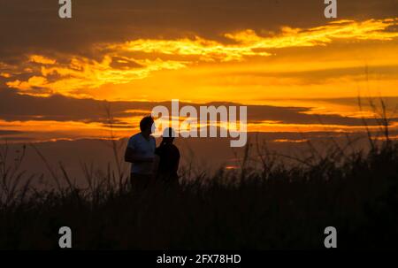 Toronto, Kanada. Mai 2021. Am 25. Mai 2021 beobachten die Menschen in einem Park in Toronto, Kanada, den Sonnenuntergang. Quelle: Zou Zheng/Xinhua/Alamy Live News Stockfoto