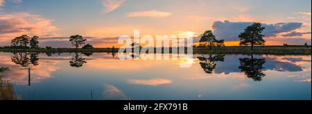 Sonnenuntergang im Dwingelderveld National Park, einem Nationalpark in der niederländischen Provinz Drenthe, etwa im Dreieck von Dwingeloo, Ruinen und bei Stockfoto