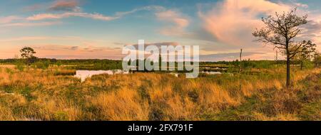 Sonnenuntergang im Dwingelderveld National Park, einem Nationalpark in der niederländischen Provinz Drenthe, etwa im Dreieck von Dwingeloo, Ruinen und bei Stockfoto