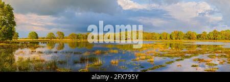 Sonnenuntergang im Dwingelderveld National Park, einem Nationalpark in der niederländischen Provinz Drenthe, etwa im Dreieck von Dwingeloo, Ruinen und bei Stockfoto