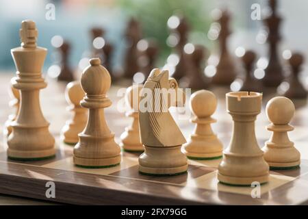 Schachfiguren, die auf dem Schachbrett für das Spiel angeordnet sind Stockfoto