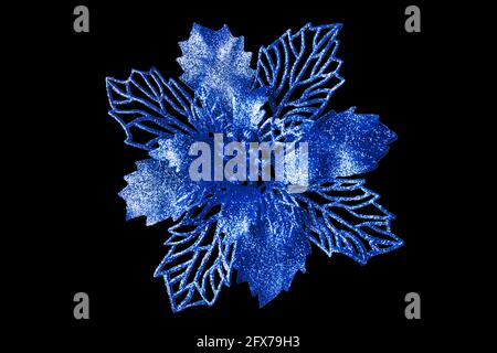 Blaue Blume auf dunkelschwarzem Hintergrund isoliert Nahaufnahme, schöne blaue Metallblume, glänzende metallische Blätter, Blumenmuster, Weihnachtsbaumschmuck Stockfoto