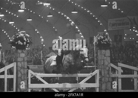 Indoor Concours Hippique im RAI-Gebäude in Amsterdam, 19. November 1960, HALLEN, Gebäude, Niederlande, Presseagentur des 20. Jahrhunderts, Foto, Nachrichten zum erinnern, Dokumentarfilm, historische Fotografie 1945-1990, visuelle Geschichten, Menschliche Geschichte des zwanzigsten Jahrhunderts, Momente in der Zeit festzuhalten Stockfoto