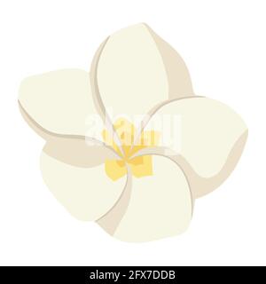 Symbol für exotische Blüten. Frangipani tropische Blumenvorlage für Logo, Kosmetik, Spa, Kosmetikprodukte, Drucke, Aufkleber Stock Vektor