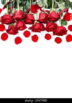 Reihen roter Rosen Reihen sich entlang der Bildkante aneinander Auf Weiß Stockfoto