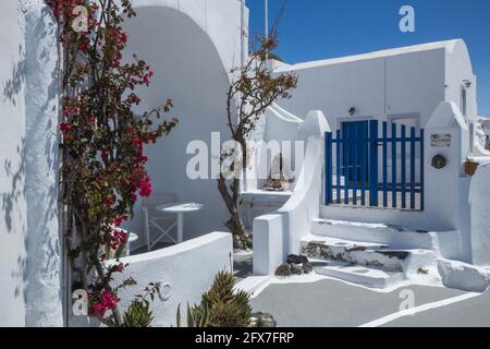 Schönes, typisch griechisches Zuhause auf der Insel Santorini, Griechenland mit einer blauen Tür und weiß getünchten Wänden. Stockfoto