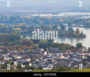 Luftaufnahme von Rüdesheim am Rhein und dem Fluss mit einer von Bäumen bedeckten Insel an einem nebligen Herbsttag in Deutschland. Stockfoto