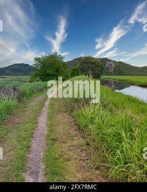 Blick auf den Feuchtgebiet-Pfad im Gemeinderaum der Stadt von den vielen Gipfeln Wanderung zum Mount Marlow, Townsville Town Common Queensland, Australien. Stockfoto