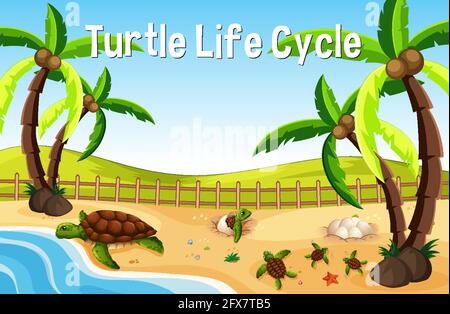 Viele Schildkröten auf der Strandszene mit Turtle Life Cycle Schriftartdarstellung Stock Vektor