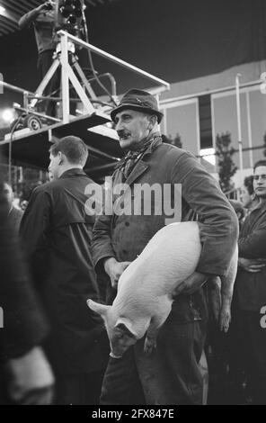 Aktion das Dorf öffnen, Mies empfängt Schwein, 27. November 1962, AKTIONEN, Quittungen, Niederlande, Foto der Presseagentur des 20. Jahrhunderts, zu erinnerende Nachrichten, Dokumentarfilm, historische Fotografie 1945-1990, visuelle Geschichten, Menschliche Geschichte des zwanzigsten Jahrhunderts, Momente in der Zeit festzuhalten Stockfoto