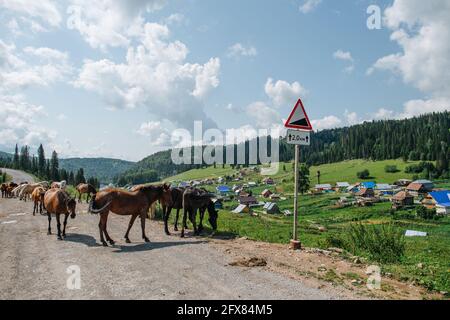 Kleine Herde brauner Pferde, die auf einer Schotterstraße spazieren und an der Seite weiden. Schöne Natur Hintergrund. Hügel, Wald und Kumuluswolken in Th Stockfoto