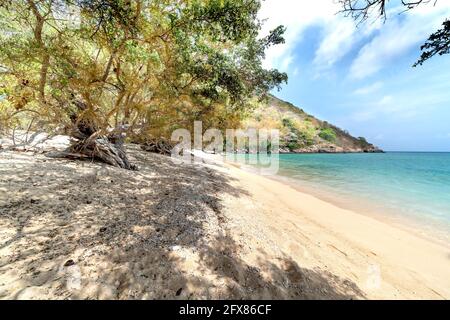 Der Strand auf der Insel Con Dao in Vietnam Stockfoto