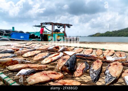 Fischer trocknen Fisch auf der Insel Con Dao in der Provinz Ba Ria Vung Tau, Vietnam Stockfoto