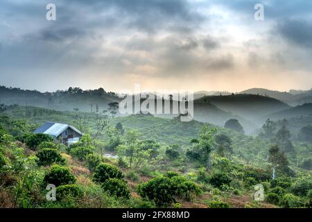 Phantasievolle Landschaft eines frühen Morgens, wenn die Sonne über den Dai Lao Berges Bereich ansteigt, Bao Loc Bezirk, Provinz Lam Dong, Vietnam Stockfoto