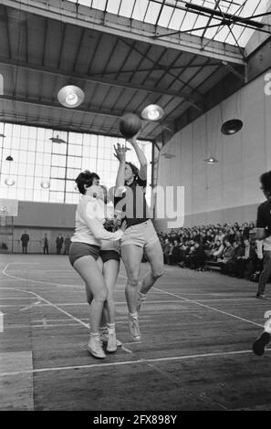 Basketball-Damen AMVJ gegen Blue Stars 63-62, Jetty Siebelinst versucht zu Punkten, 16. Januar 1966, BASKETBALL, Niederlande, 20. Jahrhundert Presseagentur Foto, Nachrichten zu erinnern, Dokumentarfilm, historische Fotografie 1945-1990, visuelle Geschichten, Menschliche Geschichte des zwanzigsten Jahrhunderts, Momente in der Zeit festzuhalten Stockfoto