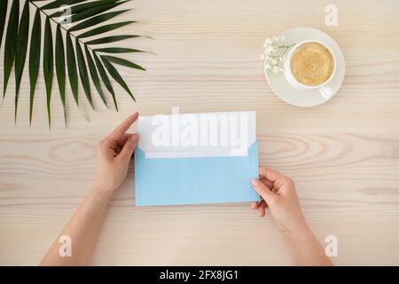 Draufsicht auf weibliche Hände öffnen Grußkarte mit blau Umschlag auf dem Tisch mit einer Tasse Kaffee und einem tropischen Blatt Stockfoto