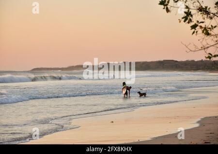 PLAYA HER, COSTA RICA - 08. Mai 2021: Surfer, der mit seinem Hund bei Sonnenuntergang an einem Hermosa Strand in Costa Rica mit einem orangefarbenen Himmel aus dem Wasser kommt. Stockfoto