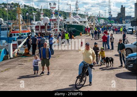 Cork, Irland. Mai 2021. Zwischen 50-60 Trawlern versammelten sich heute Morgen am Roches Point, bevor sie den Fluss nach Cork City segelten, um den Hafen zu blockieren. Die Fischer sind wütend auf ihre Quote von 15 % und die neuen Regeln für die Abwägung ihrer Fangmengen. Hunderte von Fischern und ihre Anhänger waren bei der Kundgebung am Kennedy Quay. Quelle: AG News/Alamy Live News Stockfoto