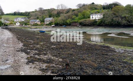 COOMBE, CORNWALL, Großbritannien - MAI 12 : Blick auf Coombe in Cornwall am 12. Mai 2021 Stockfoto