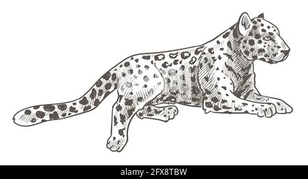 Leopardentiere liegen, ruhiger Gepard mit Schwanz Stock Vektor