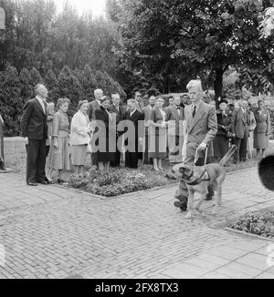 Besuch von Königin Juliana zur Führung der Hundeschule für Blinde, 11. September 1953, Hunde, Niederlande, 20. Jahrhundert Presseagentur Foto, Nachrichten zu erinnern, Dokumentarfilm, historische Fotografie 1945-1990, visuelle Geschichten, Menschliche Geschichte des zwanzigsten Jahrhunderts, Momente in der Zeit festzuhalten Stockfoto