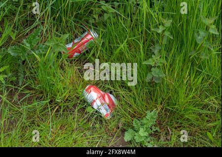 Leere ausrangierte Bierdosen aus Metall am Grasrand Eine Norfolk-Straße Stockfoto