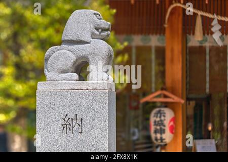 tokio, japan - Mai 03 2021: Japanische Komainu-Löwenstatue, entworfen vom Architekten Kengo Kuma, im Akagi-Schrein von Kagurazaka, geschmückt mit dem geschnitzten wo Stockfoto