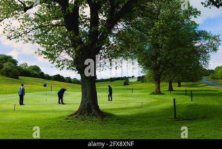 Golfer genießen eine Partie Golf an einem schönen Frühlingsmorgen, umgeben von üppiger grüner Weide im Westwood in Beverley, Yorkshire, Großbritannien. Stockfoto