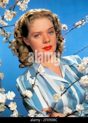 ALICE SAYE (1915-1998) amerikanische Filmschauspielerin und Sängerin um 1943 Stockfoto