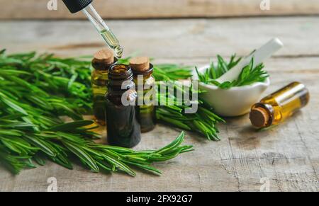 Ätherisches Rosmarin-Öl in einer kleinen Flasche. Selektiver Fokus. Natur. Stockfoto