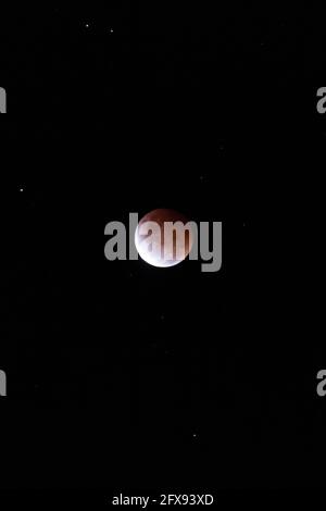 Roter Mond an einem dunklen Himmel in Australien Stockfoto