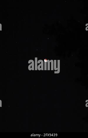 Roter Mond an einem dunklen Himmel in Australien Stockfoto