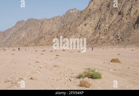 Landschaftlich reizvoller Blick auf die öde karge östliche Wüste in Ägypten Mit Abenteuerradfahrern, die entlang des wadi-Flusstal radeln Stockfoto