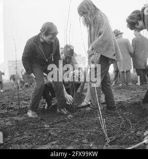 Baumbepflanzungstag an der Ecke Pieter Callandlaan, Ratsmann Tabak hilft zwei Kindern, einen kleinen Baum zu Pflanzen, 7. April 1965, Kinder, PFLANZEN, Baumbepflanzungstage, Ratsmänner, Niederlande, Presseagentur des 20. Jahrhunderts, Foto, Nachrichten zu erinnern, Dokumentarfilm, historische Fotografie 1945-1990, visuelle Geschichten, Menschliche Geschichte des zwanzigsten Jahrhunderts, Momente in der Zeit festzuhalten Stockfoto